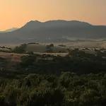 Bua *